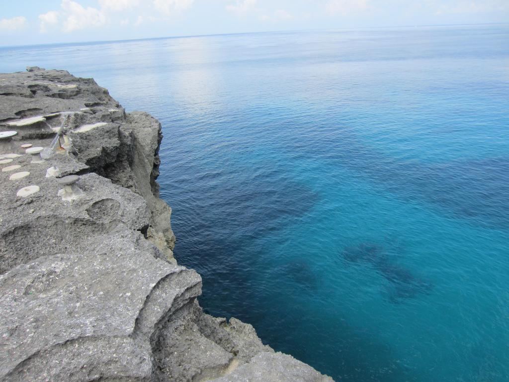 Naradas Mushroom Beach Lembongan Eksteriør billede